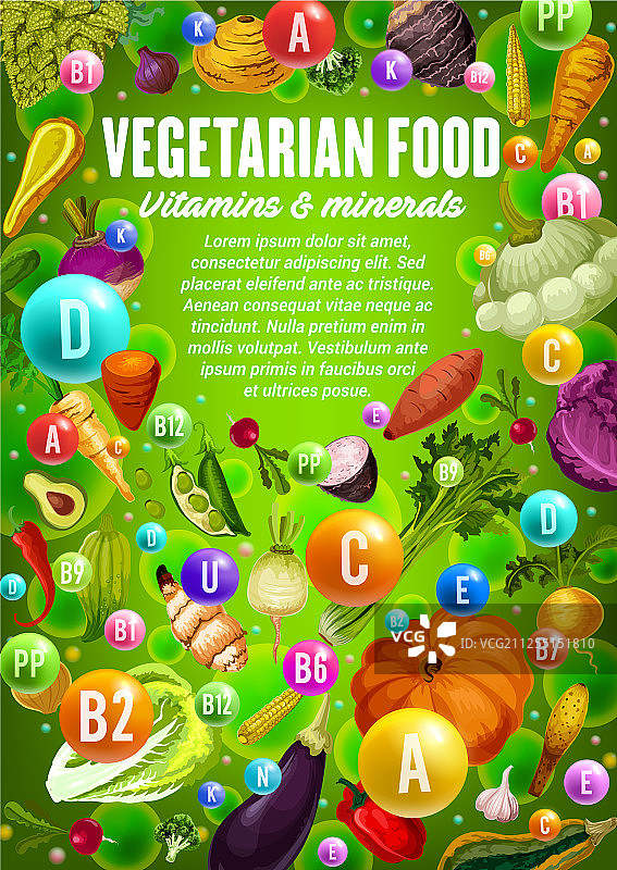 蔬菜，豆类，草本植物，素食，维生素，矿物质图片素材