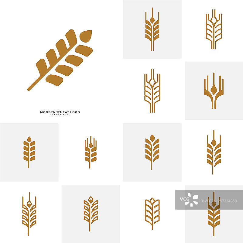 集小麦、奢侈谷物和面包为一体的自然标签图片素材