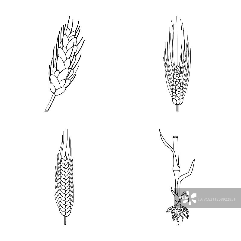 设计农业和农业图标图片素材