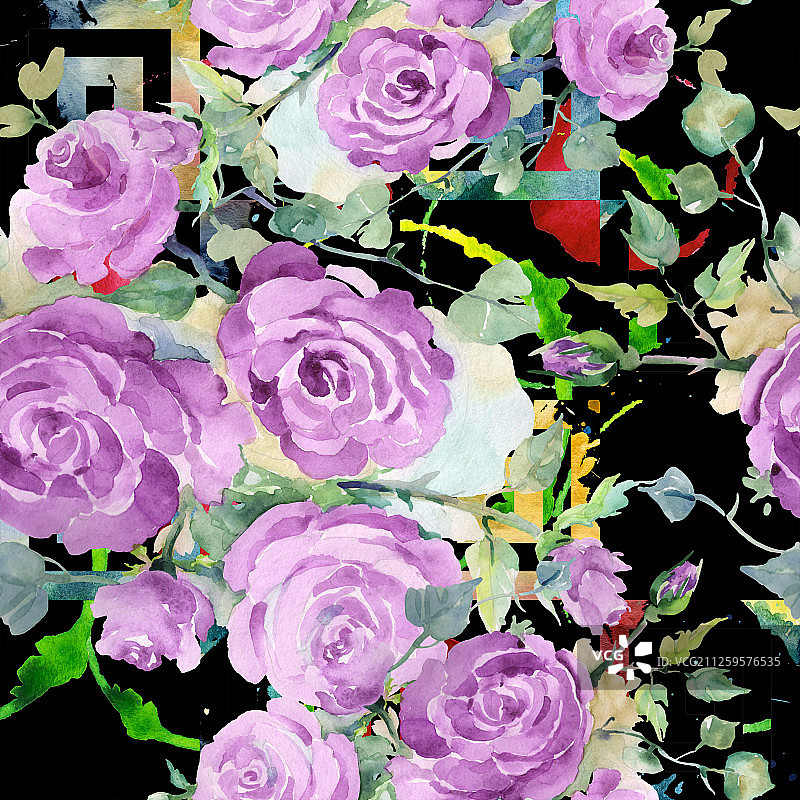 紫色玫瑰花束植物花。水彩背景插图集。无缝的背景图案。图片素材