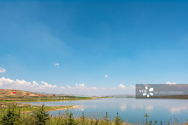 阳光下的青海湖金银潭景区图片素材