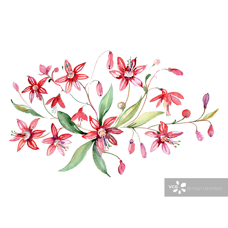 花束，植物花。水彩背景设置。孤立的花束插图元素。图片素材