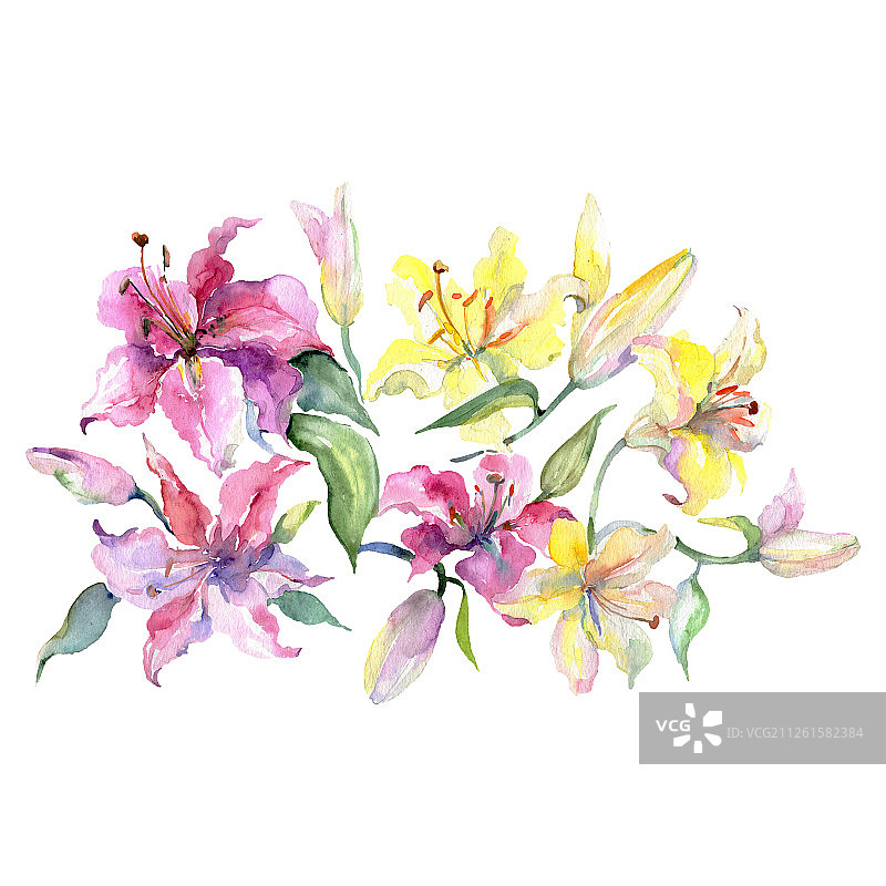 百合、花束、植物花。水彩背景设置。孤立的花束插图元素。图片素材