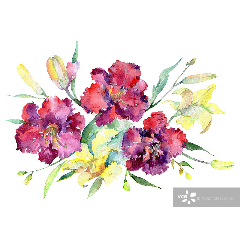 百合花束，植物花。水彩背景设置。孤立的花束插图元素。图片素材