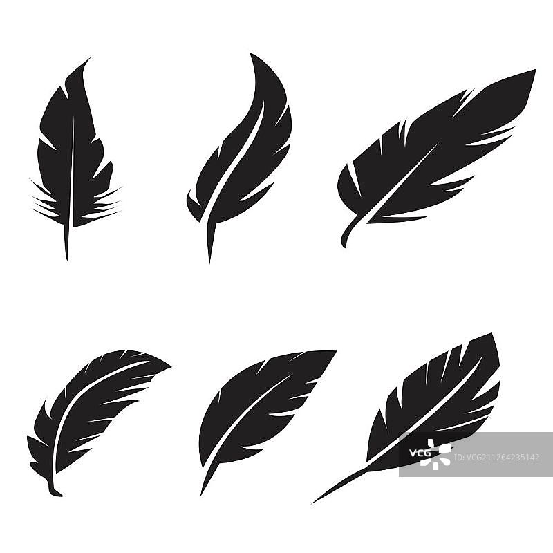 黑色羽毛图标设置在白色背景上图片素材