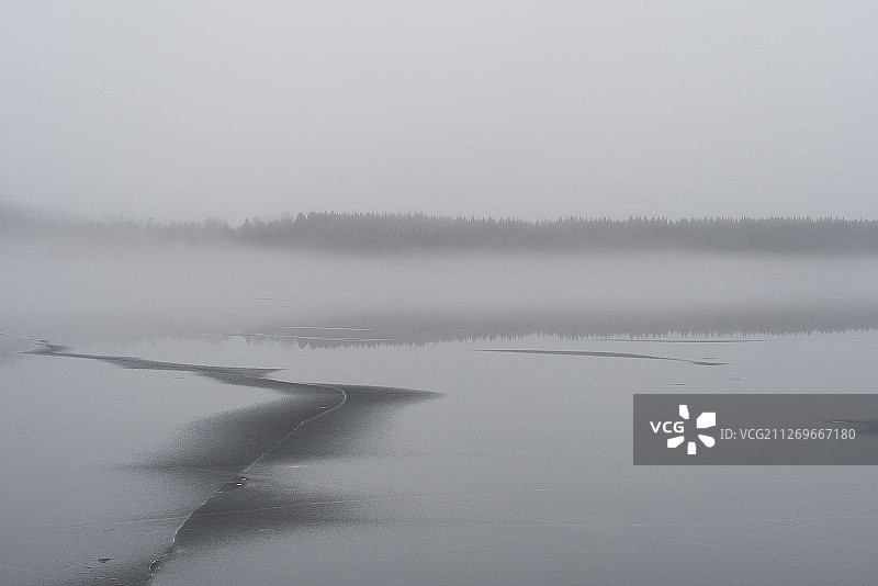 冰和雾的森林图片素材