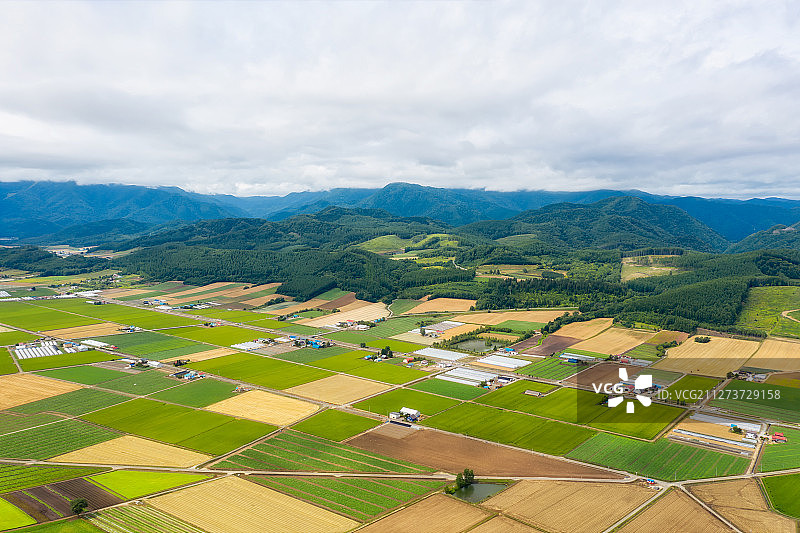 日本北海道富良野乡村田园风光航拍视角图片素材