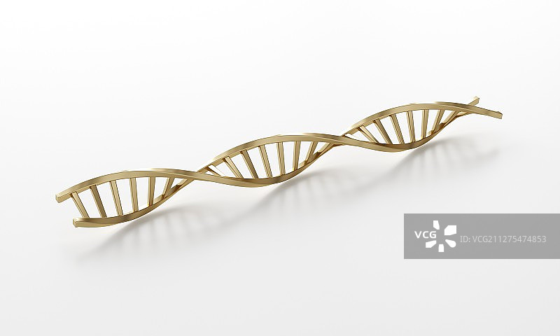 生物医疗概念的三维DNA模型图片素材