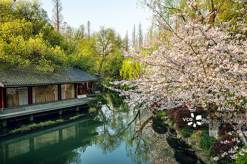 杭州西湖春景图片素材