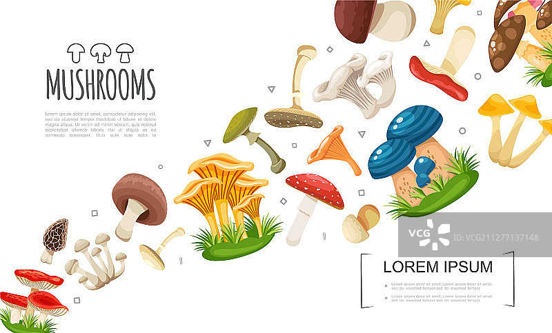 平原林蘑菇概念图片素材