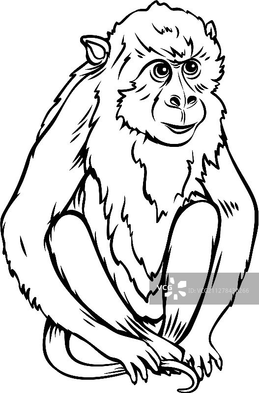 猴子猕猴图标图片素材
