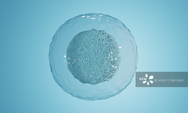 显微镜下的生物卵子卵细胞图片素材
