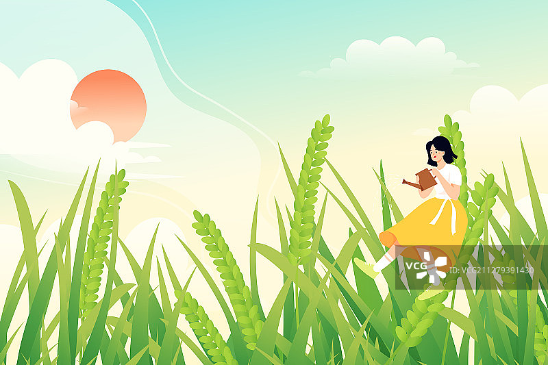 小满水稻农业小麦青色植物生长二十四节气中国风矢量插画图片素材