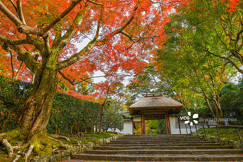 日本京都安乐寺秋季红叶风光图片素材