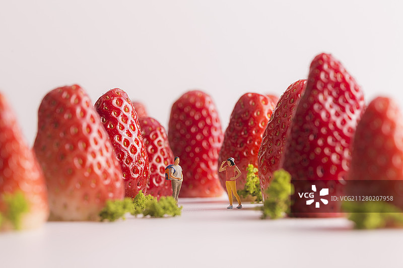微缩摄影草莓创意微拍图片素材