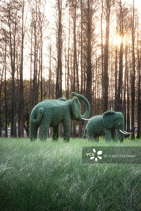 茂名市新湖公园大象雕塑图片素材