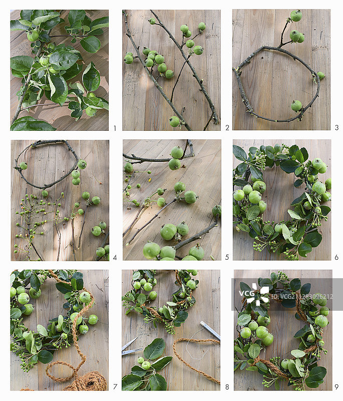 用苹果树枝和荚蒾浆果制作花环的说明图片素材