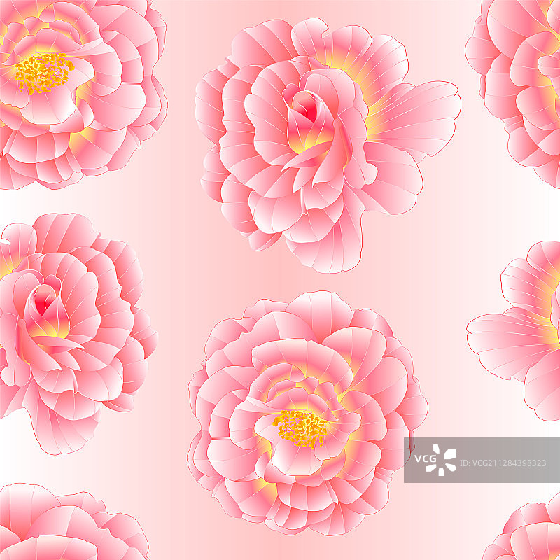 无缝纹理粉红玫瑰与橙色中心图片素材