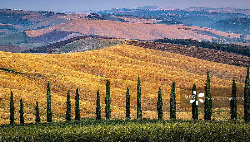意大利Asciano的田野景观图片素材
