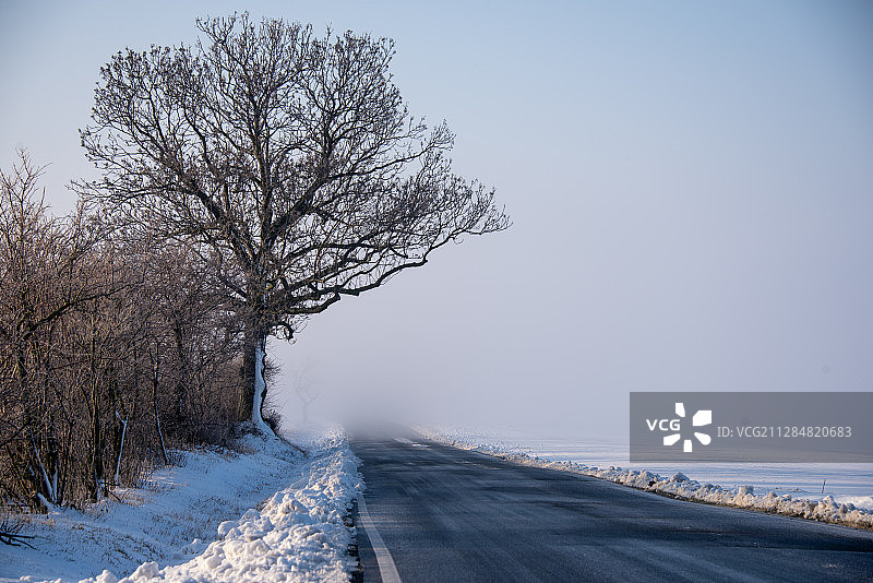 捷克共和国，隆德尼斯和拉伯姆的冬季，空旷的道路变成了雾图片素材