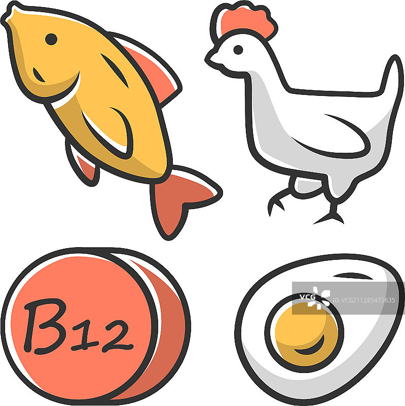 维生素b12颜色图标鱼，家禽和鸡蛋图片素材