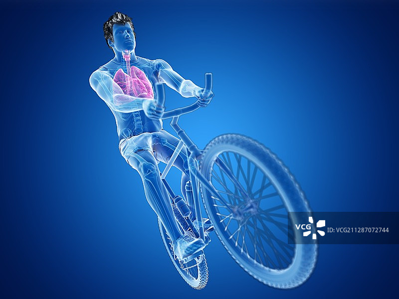一个骑自行车的人的肺的插图图片素材