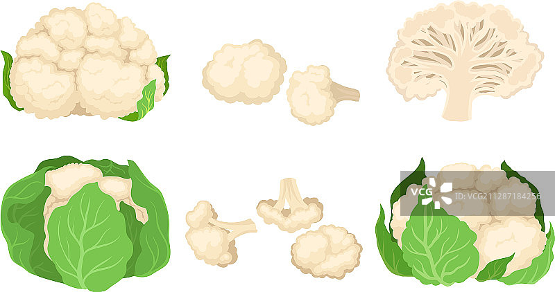 有分开小花的菜花卷心菜图片素材