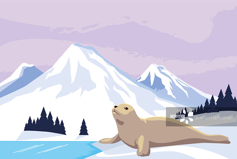 海豹在北极的北极景观图片素材