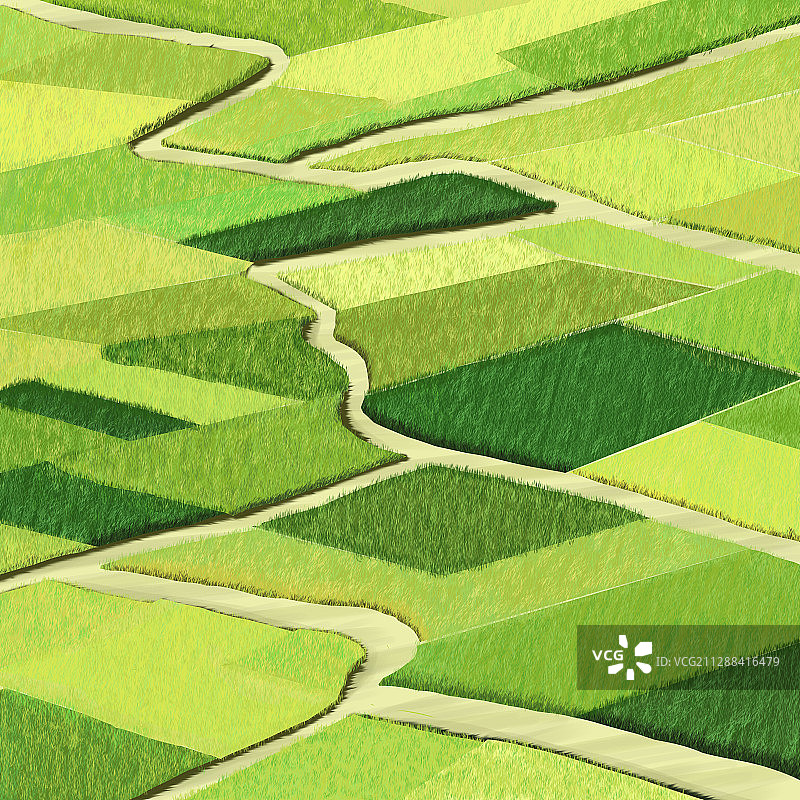 春天绿色稻田俯视插画图片素材