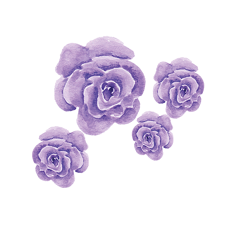 美丽的水彩紫玫瑰图片素材