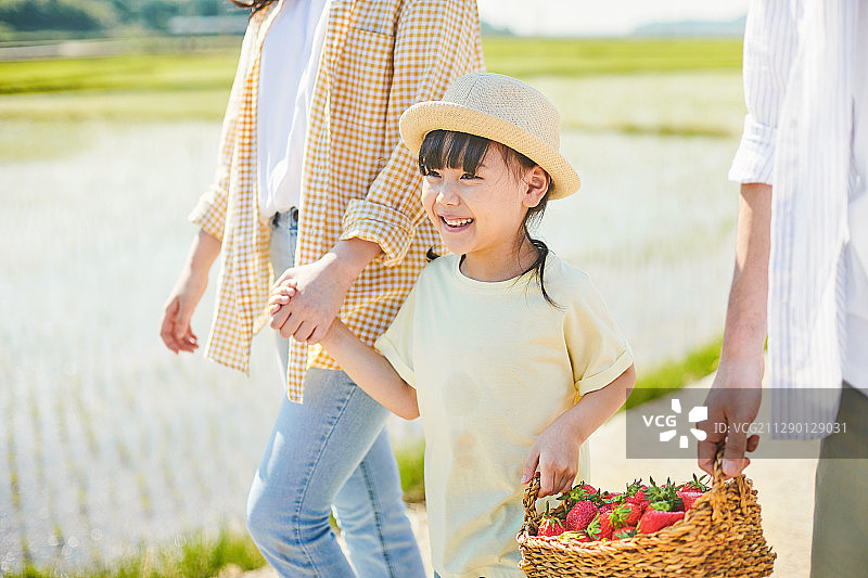 幸福，孩子，家庭，草莓，有机农场图片素材