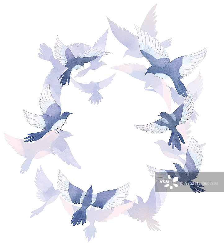 七夕节一群环形飞舞的喜鹊手绘插画图片素材