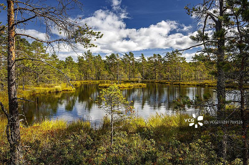 拥有湖泊和多云天空的沼泽景观，欧洲瑞典Knuthoejdsmossen图片素材