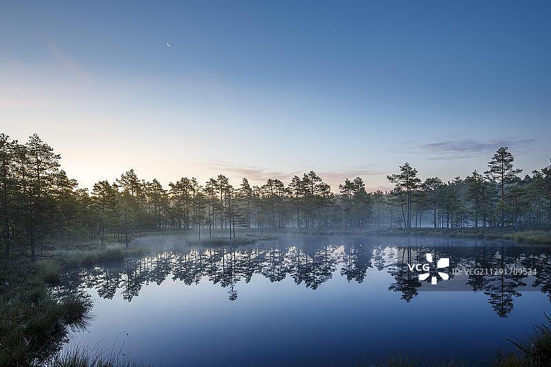 沼泽景观与湖泊在黎明，克努托伊茨莫森，瑞典，欧洲图片素材