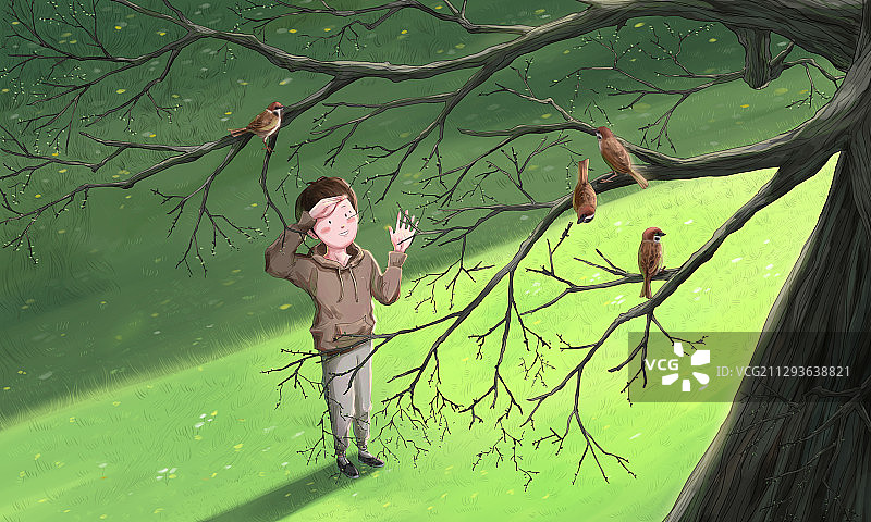 站在树下和麻雀打招呼的男孩图片素材