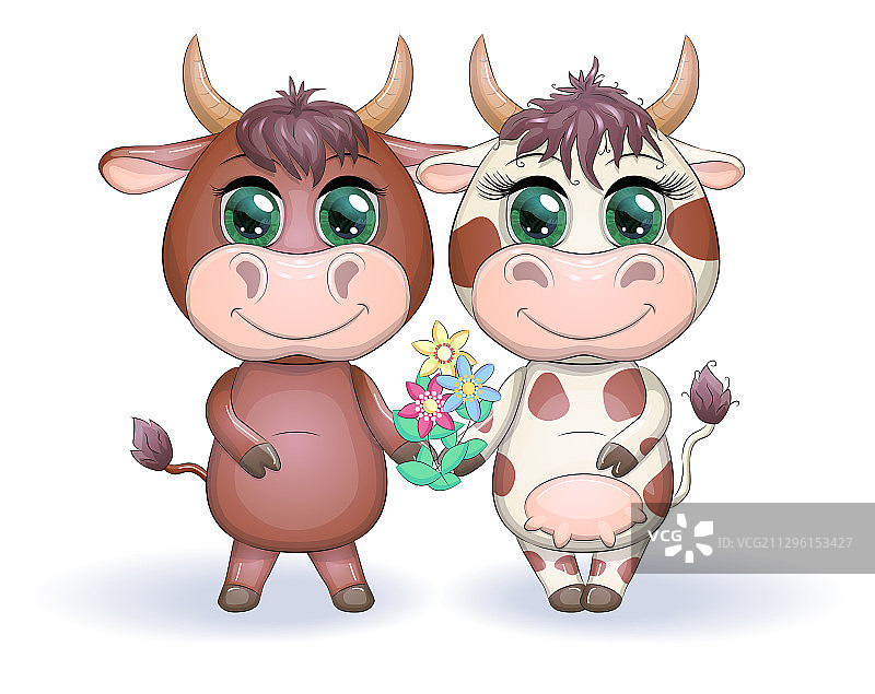 可爱的卡通夫妇，奶牛和鲜花公牛图片素材