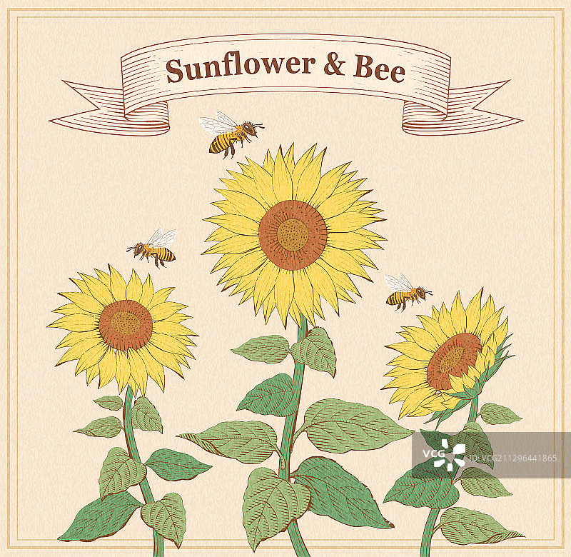 蜜蜂采蜜艺术设计海报图片素材