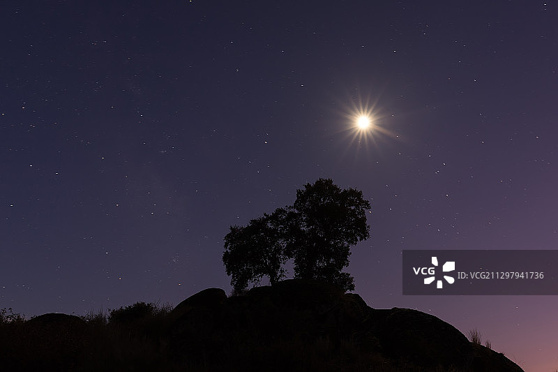 低角度的剪影树对天空的夜晚，马尔帕达德ceres，西班牙图片素材