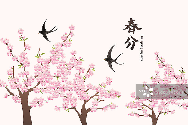 桃花樱花春天节日花朵插画图片素材