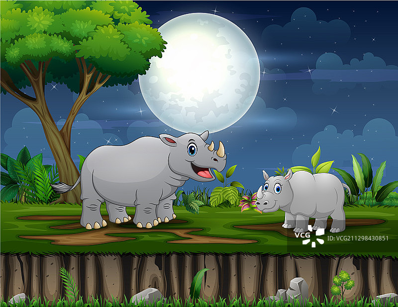 一只犀牛和她的幼崽在晚上玩耍图片素材