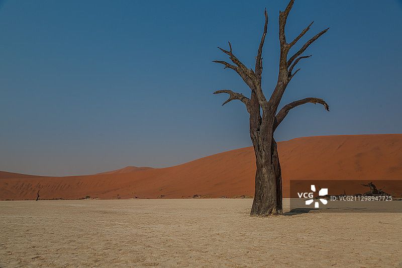清澈的天空下的沙漠风景，马尔塔赫，纳米比亚图片素材
