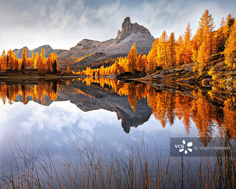 秋天的湖景，树对天图片素材