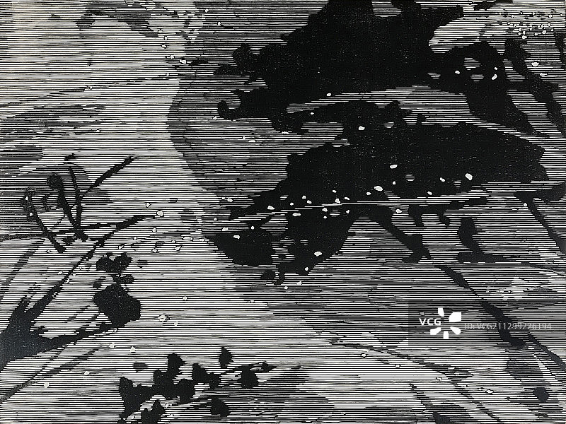 黑白木刻版画《贡湖系列之三》图片素材