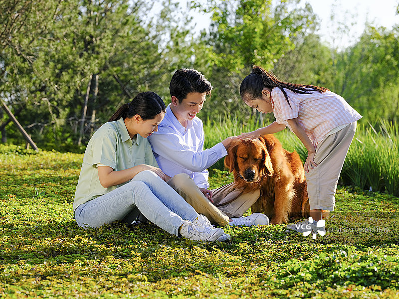 快乐的三口之家和宠物狗在公园玩耍图片素材
