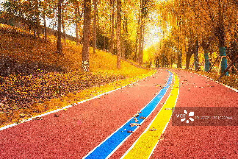 金秋时节公园里一条撒满落叶的彩色跑道和树林图片素材