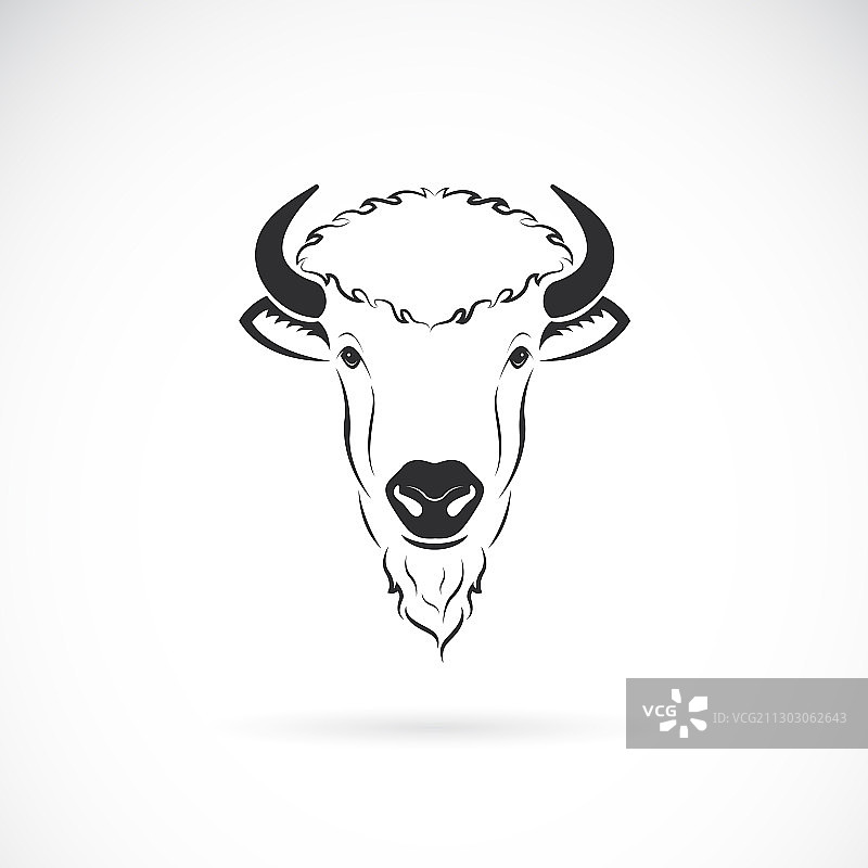 野牛头设计在白色的背景野生图片素材