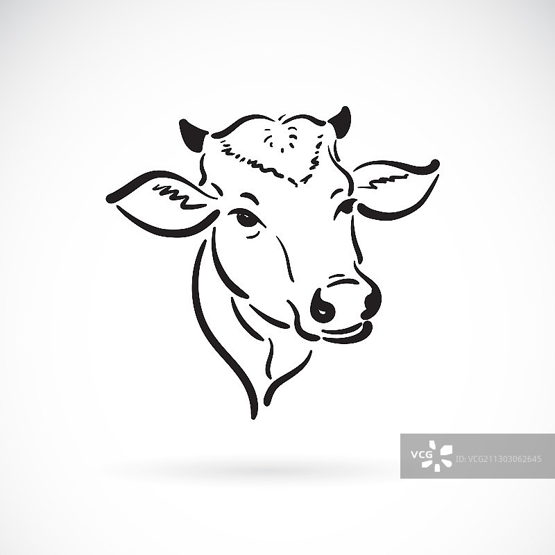 牛头设计在白色的背景农场动物图片素材
