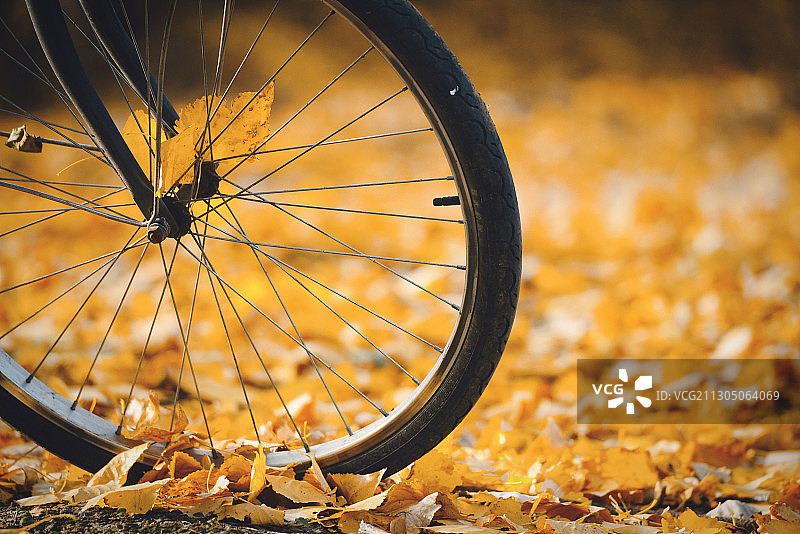 秋天里的车轮图片素材