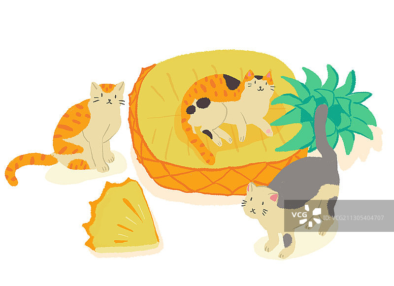 可爱的猫咪和菠萝图片素材