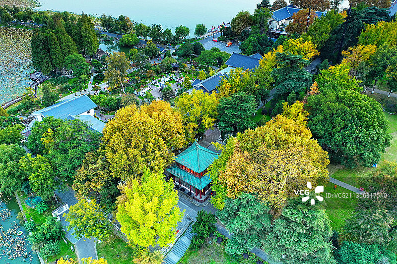 被银杏树环绕的南京玄武湖梁洲上的揽胜楼图片素材